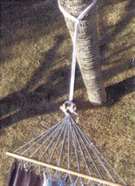 Rolha auxiliar para dar a volta em uma árvore